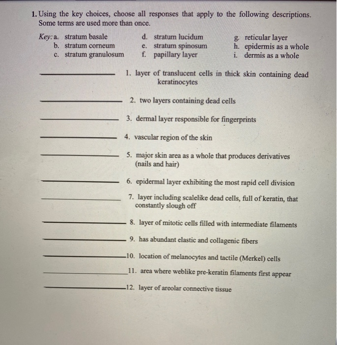 Solved 1. Using the key choices, choose all responses that | Chegg.com