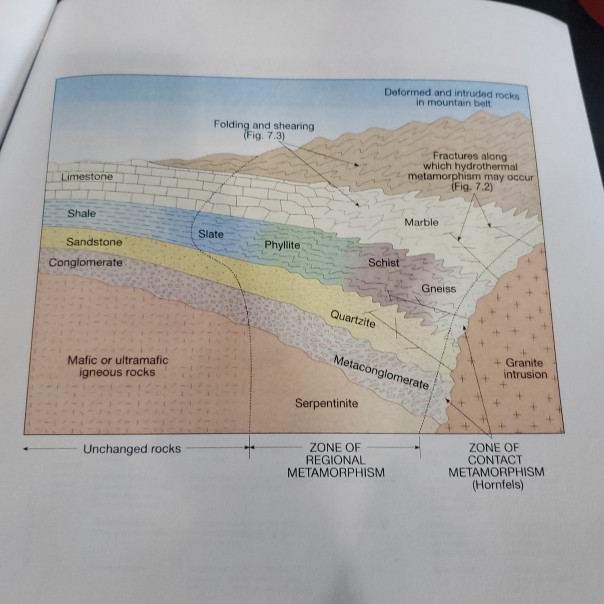 Solved Metamorphic Rocks Use The Lab Book And The Rock | Chegg.com