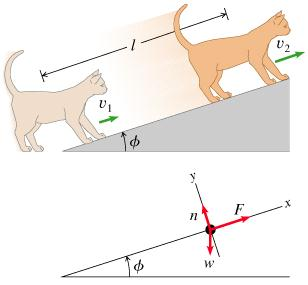 Image for Learning Goal: To practice Problem-Solving Strategy 6.1 Work and Kinetic Energy. Your cat Ms. (mass 7.00kg ) i