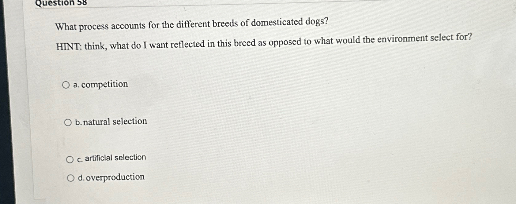 What Process Accounts for the Different Breeds of Domesticated Dogs: Unveiling Evolutionary Secrets