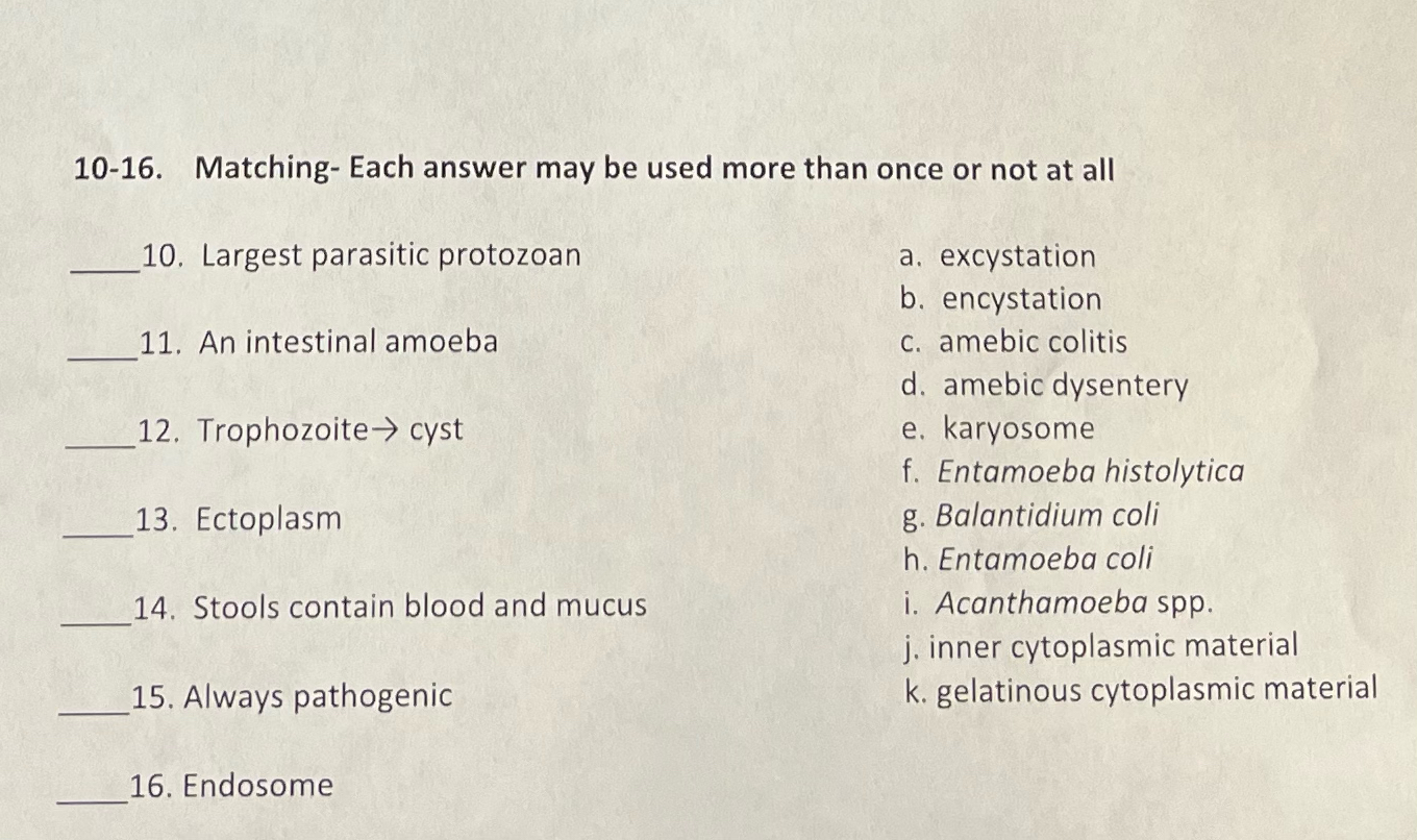 Solved 10-16. ﻿Matching- ﻿Each answer may be used more than | Chegg.com