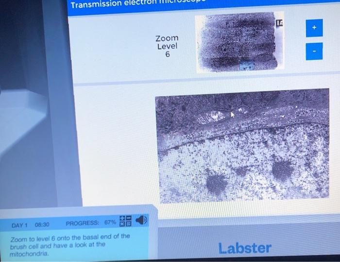 Transmission Zoom Level 6 DAY 1 0830 PROGRESS 67 3