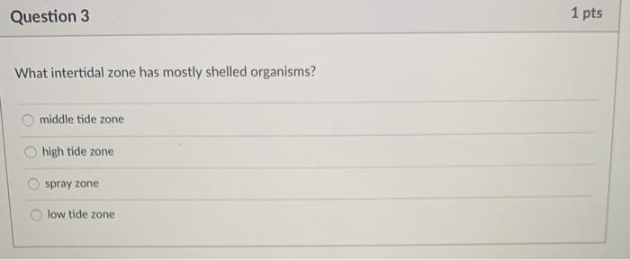 Solved Can Someone Please Please Help With This With An | Chegg.com