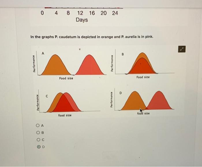 Solved Which graph below showing the intensity of | Chegg.com
