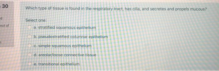 Solved En 21 Which one of the following is not one of the | Chegg.com