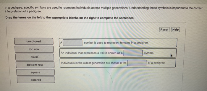 Solved Review Patterns of trait expression can help you | Chegg.com