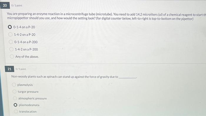 Solved Describe what will happen in the following | Chegg.com