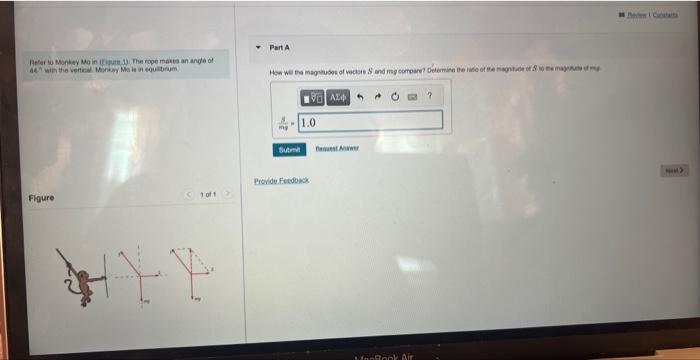 Solved Relar to Monkey Mo in itiguti 13. The rope make an | Chegg.com