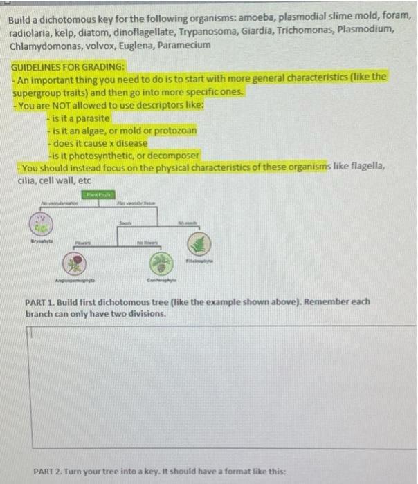 Solved Build a dichotomous key for the following organisms: | Chegg.com