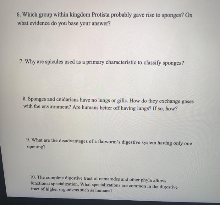 What Do You Know About Gorgon? - ProProfs Quiz