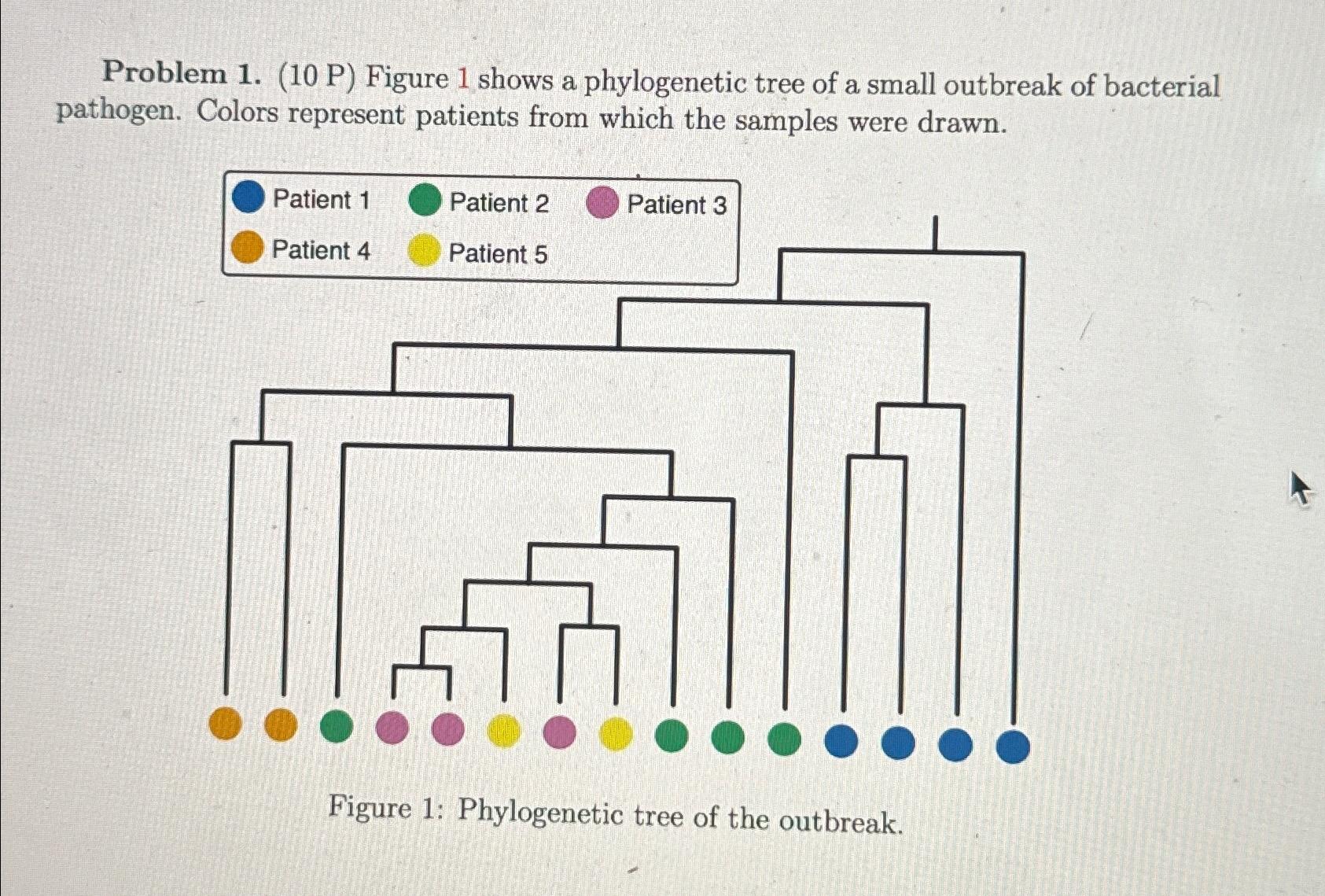Problem 1. (10 ﻿P) ﻿Figure 1 ﻿shows a phylogenetic | Chegg.com
