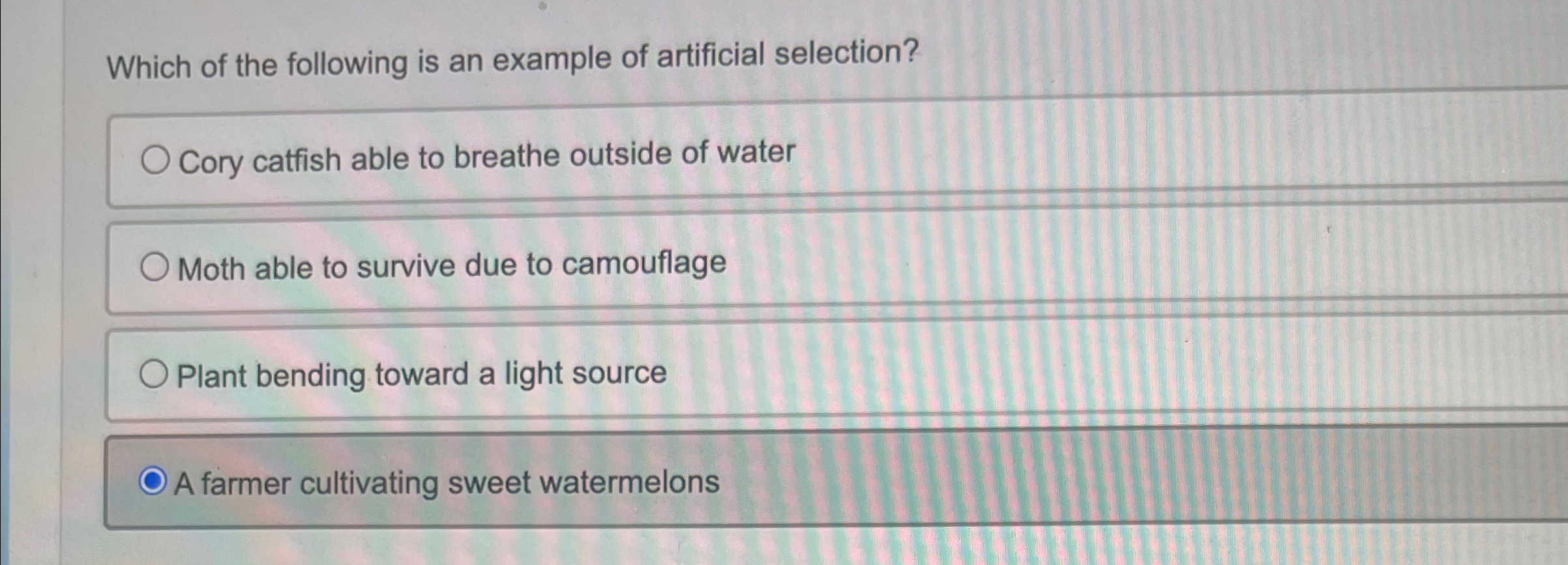 Solved Which of the following is an example of artificial