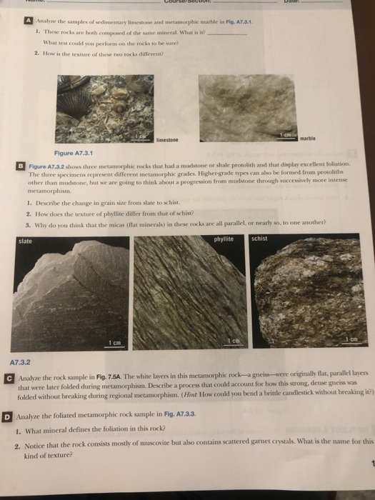 Solved A Analyze the samples of sedimentary limestone and | Chegg.com