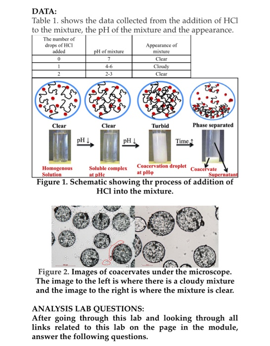 Solved ANALYSIS LAB QUESTIONS: After going through this lab | Chegg.com