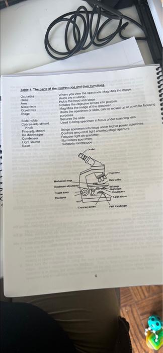 Solved Laboratory #1 The Compound Light Microscope The | Chegg.com