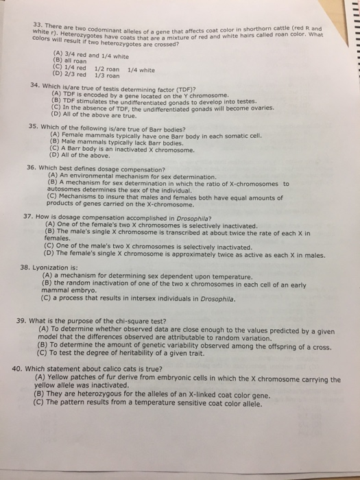 Solved 33 There Are Two Codominant Allele יווח White R