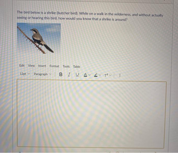 Solved D Question 6 1 pts How do ruminating herbivores (like