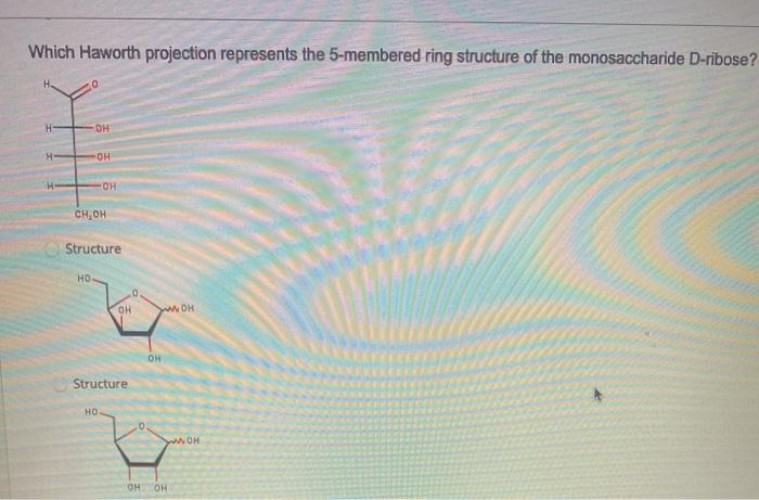 Solved Which Haworth projection represents the 5-membered | Chegg.com