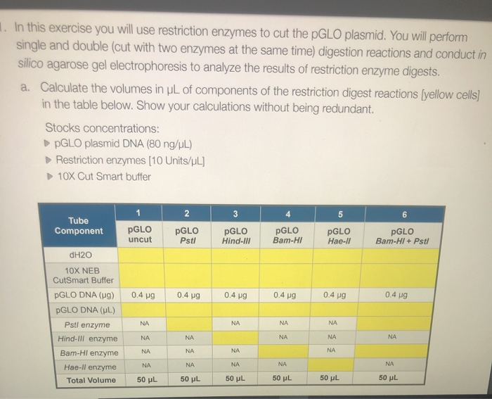 Solved 1. In This Exercise You Will Use Restriction Enzymes | Chegg.com