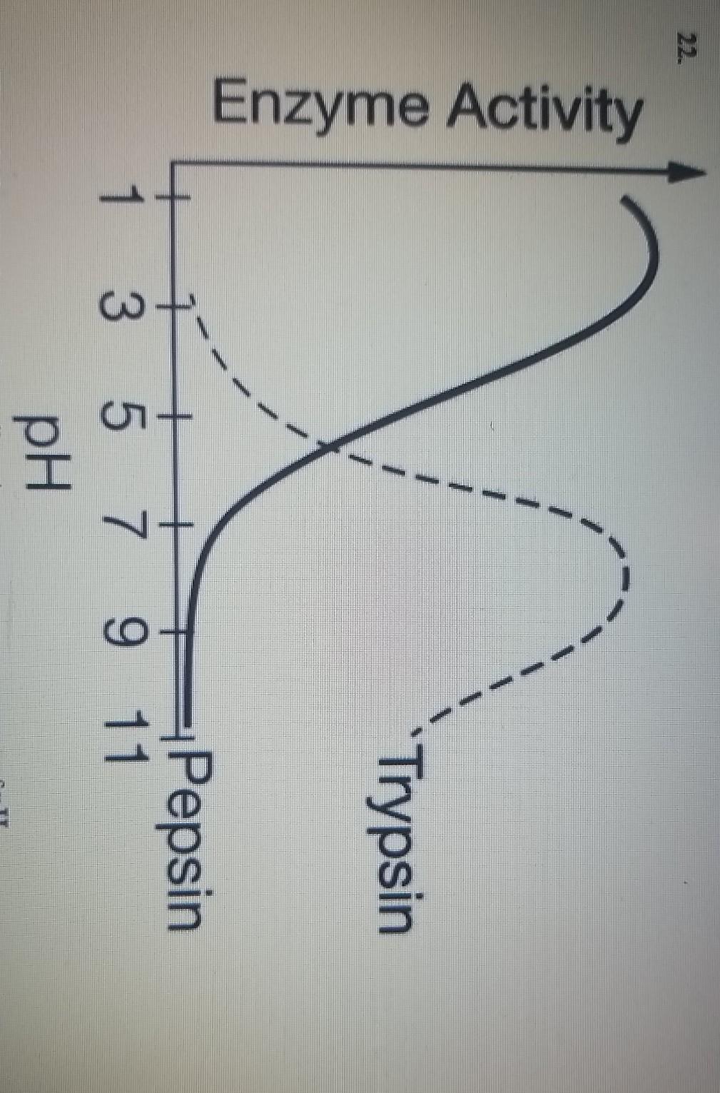 enzyme-reaction-rates-ph-effects-examples-expii