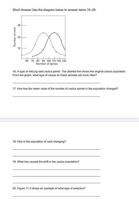 Solved Short Answer Use the diagram below to answer items | Chegg.com