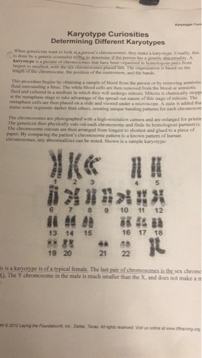 Solved Karyotype Curiosities Determining Different | Chegg.com