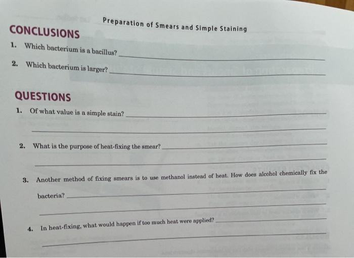 Solved LABORATORY REPORT Preparation of Smears and Simple