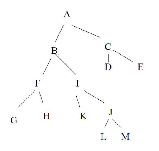 f) ﻿Redraw the tree by the First-child, Next-Sibling | Chegg.com