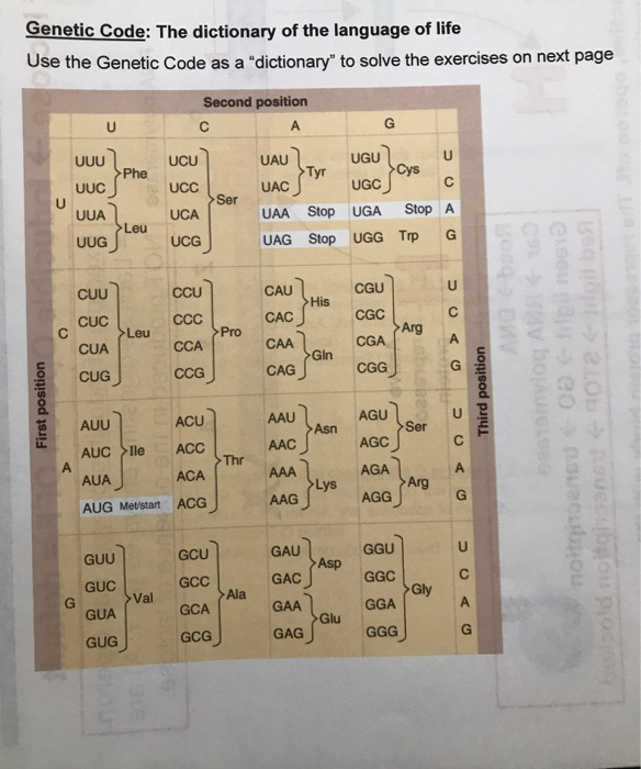 Solved Genetic Code: The dictionary of the language of life | Chegg.com