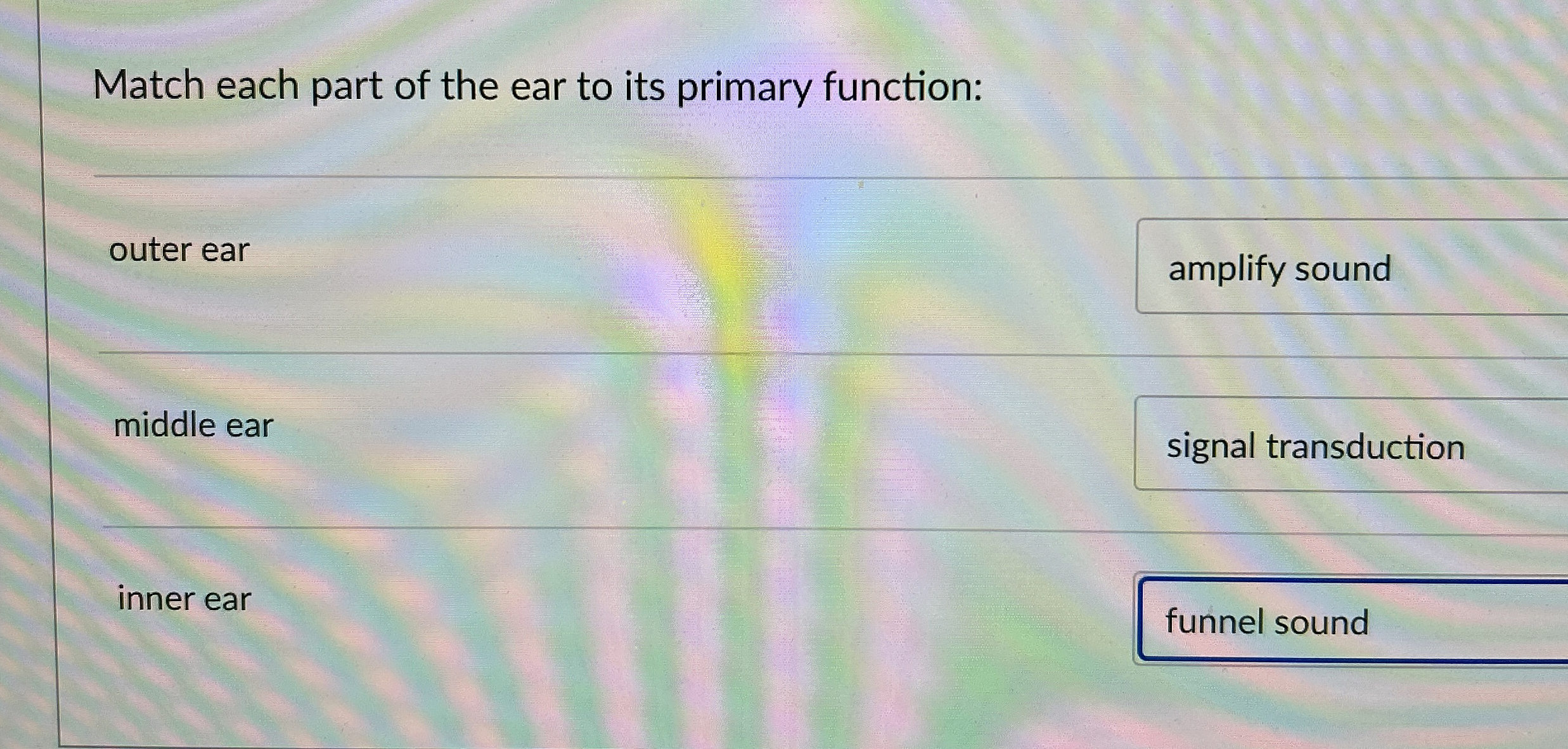 Solved Match each part of the ear to its primary | Chegg.com