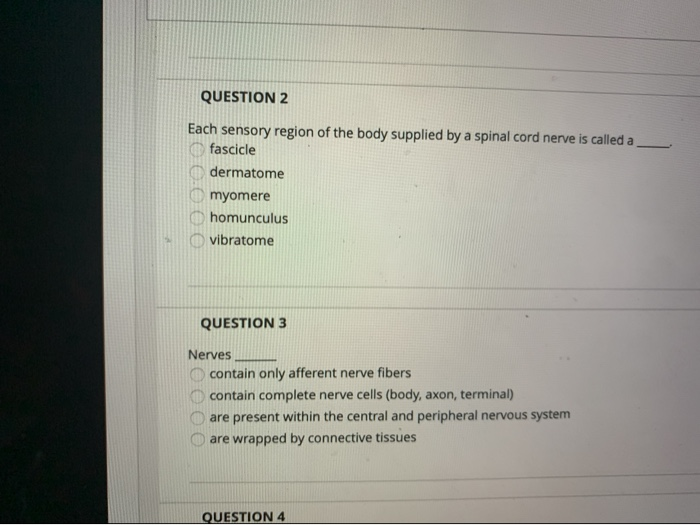 Solved QUESTION 2 eeee Each sensory region of the body | Chegg.com