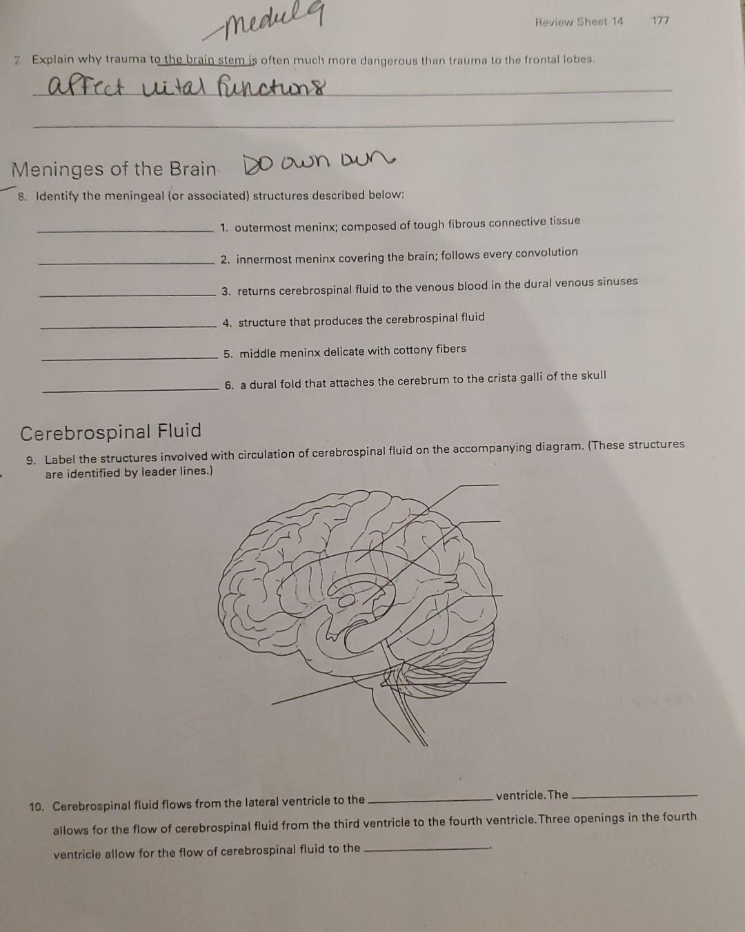 Solved Question 14 9 pts Listed below are brain volumes