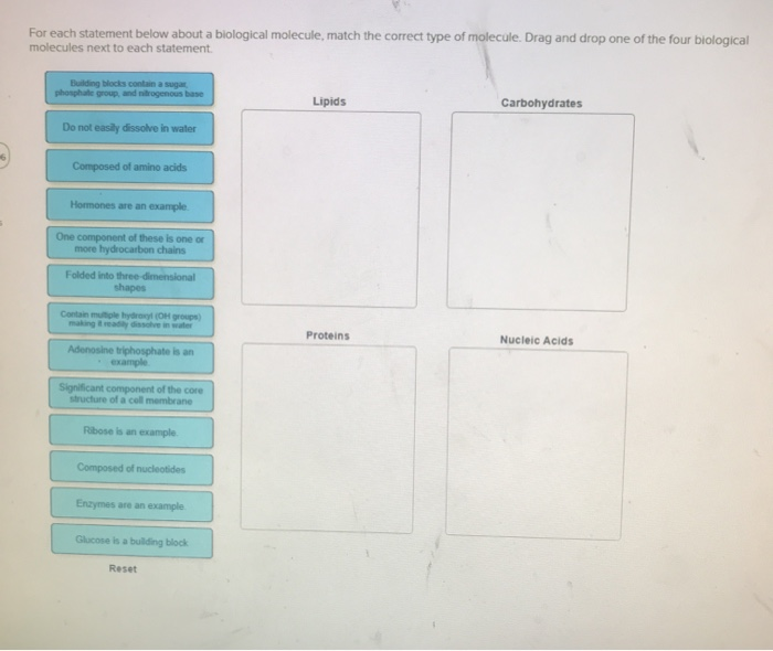 solved-for-each-statement-below-about-a-biological-molecule-chegg