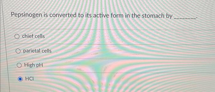Pepsinogen is converted to its active form in the stomach by
chief cells
O parietal cells
O High pH
HCI