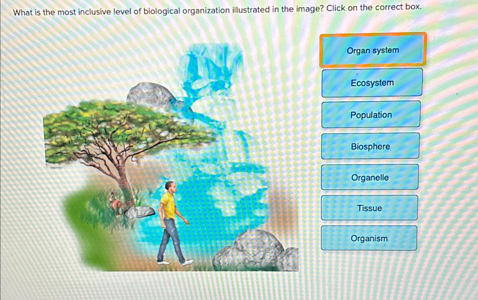 Solved What is the most inclusive level of biological