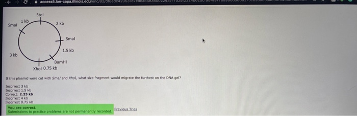 Solved I do not understand the reasoning behind why this is | Chegg.com