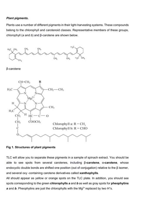 Solved Practical 1 Thinlayer Chromatography of Plant