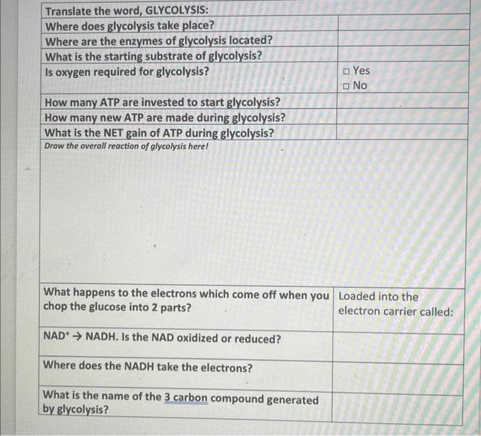 [Solved] Translate the word, GLYCOLYSIS Where does glycol