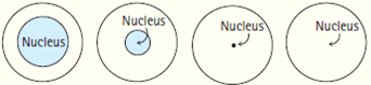 represents diagrams following which nucleus atomic relative atom