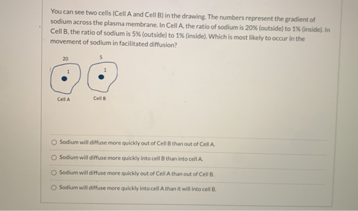 biology dialysis experiment