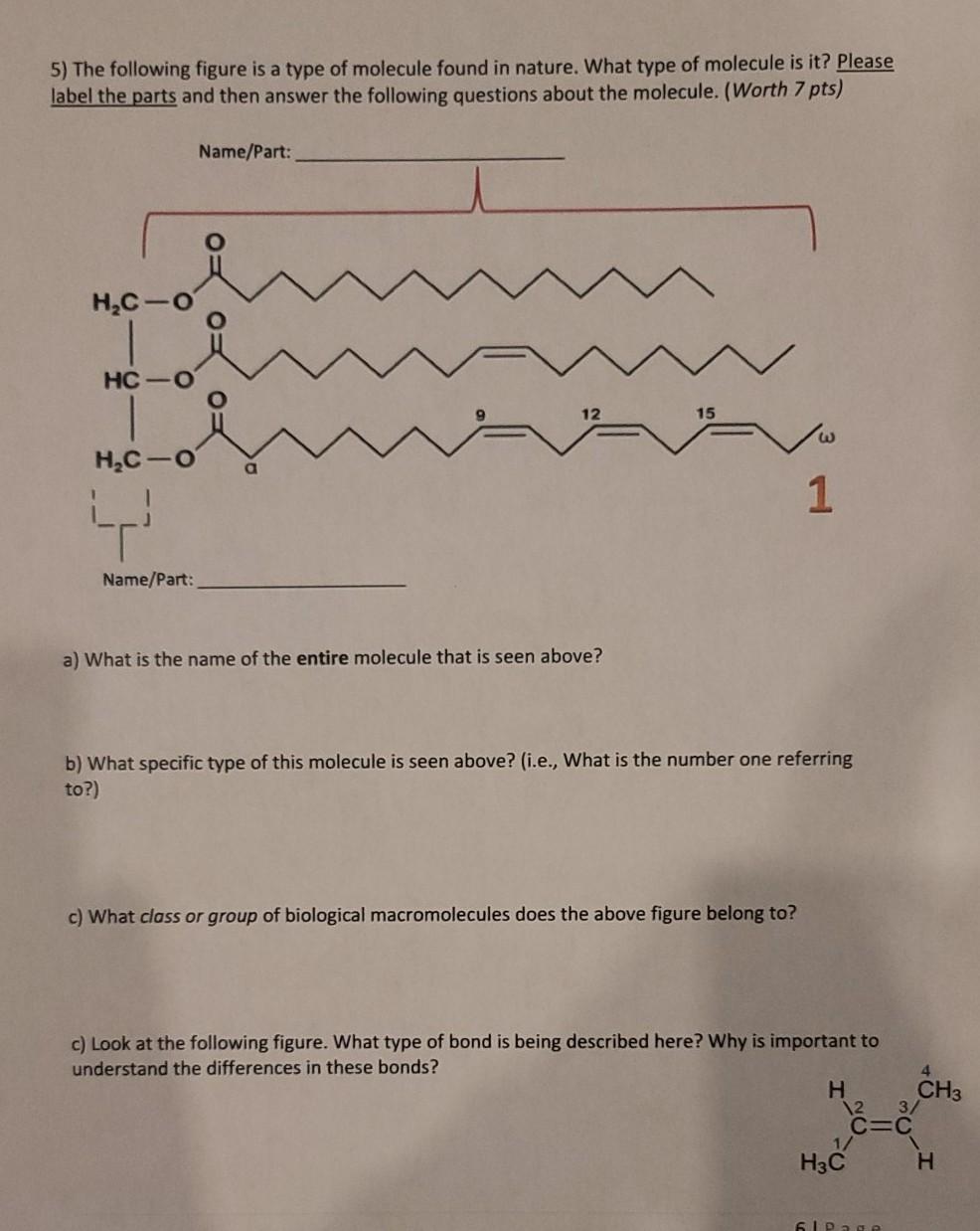 Solved 5) The following figure is a type of molecule found | Chegg.com
