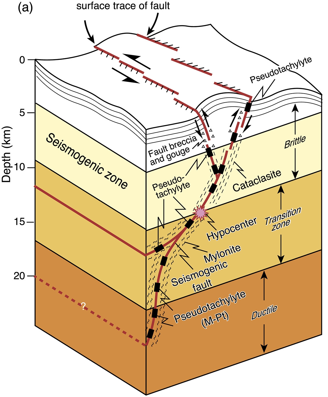 Solved Using the geological cross-section of ﻿a fault zone | Chegg.com