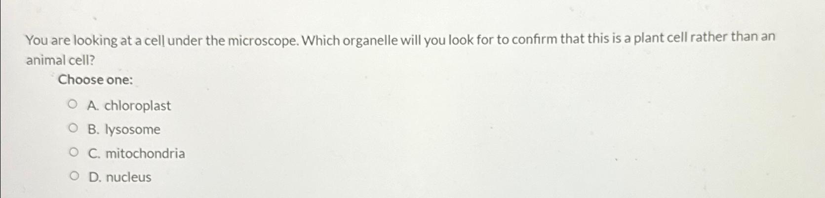 Solved You are looking at a cell under the microscope. Which | Chegg.com