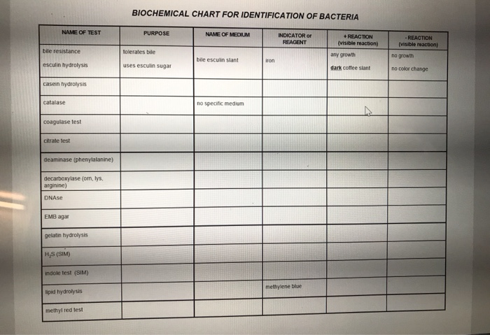 Biochemical Chart For Identification Of Bacteria