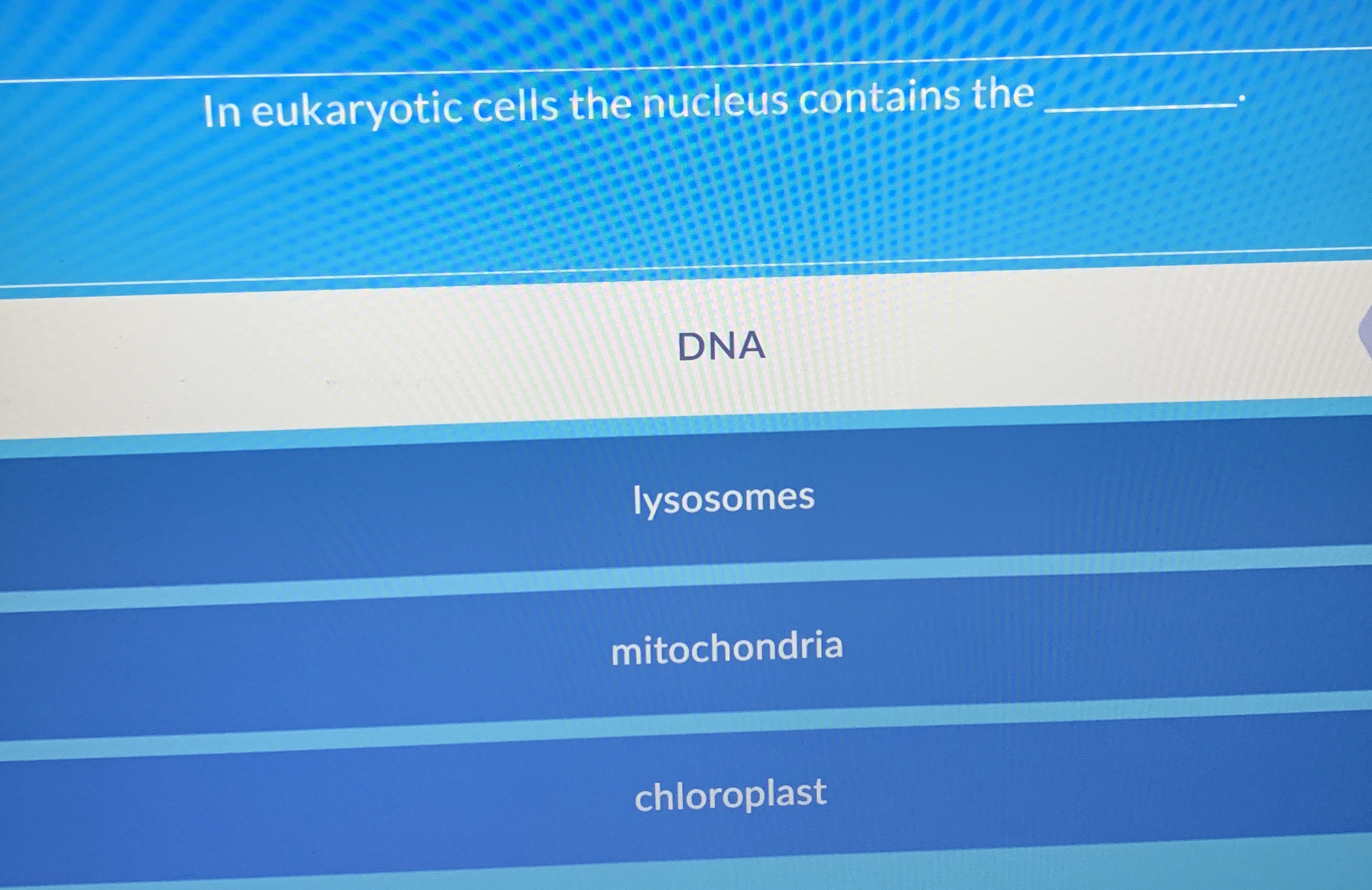 Solved In eukaryotic cells the nucleus contains | Chegg.com