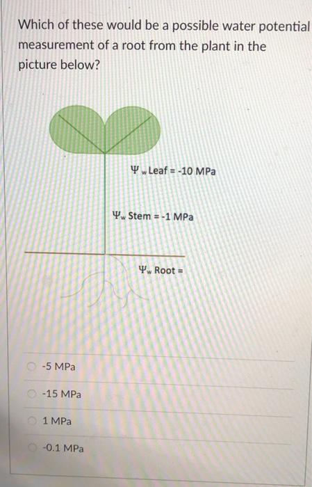Solved Which of these would be a possible water potential | Chegg.com