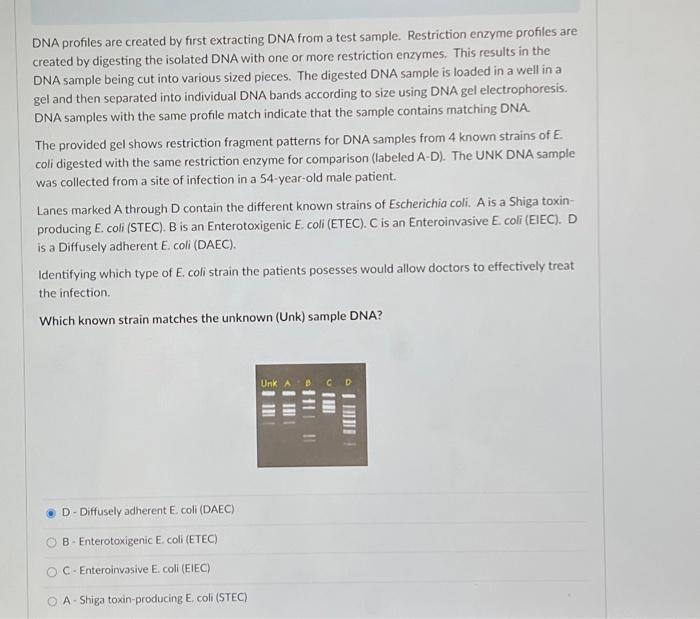 Solved DNA profiles are created by first extracting DNA from | Chegg.com