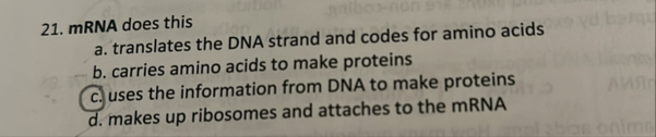 Solved mRNA does thisa. ﻿translates the DNA strand and codes | Chegg.com