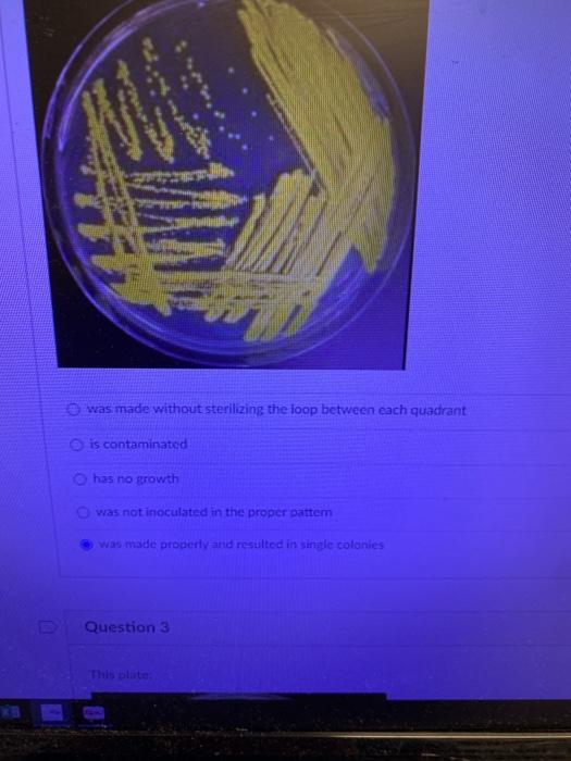 Solved was made without sterilizing the loop between each | Chegg.com