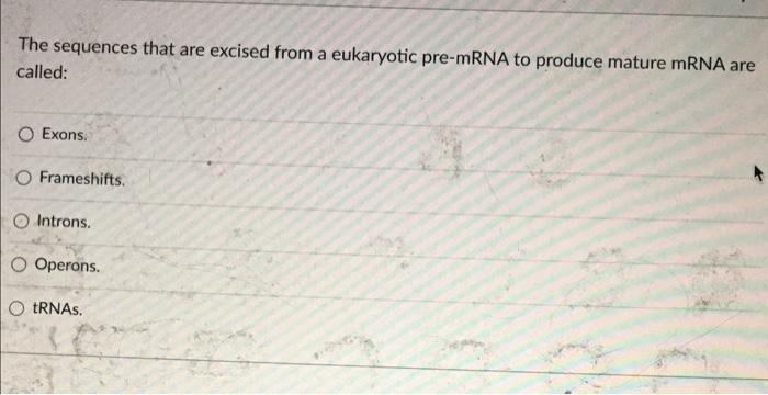 solved-the-sequences-that-are-excised-from-a-eukaryotic